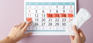 всё о менструальном цикле