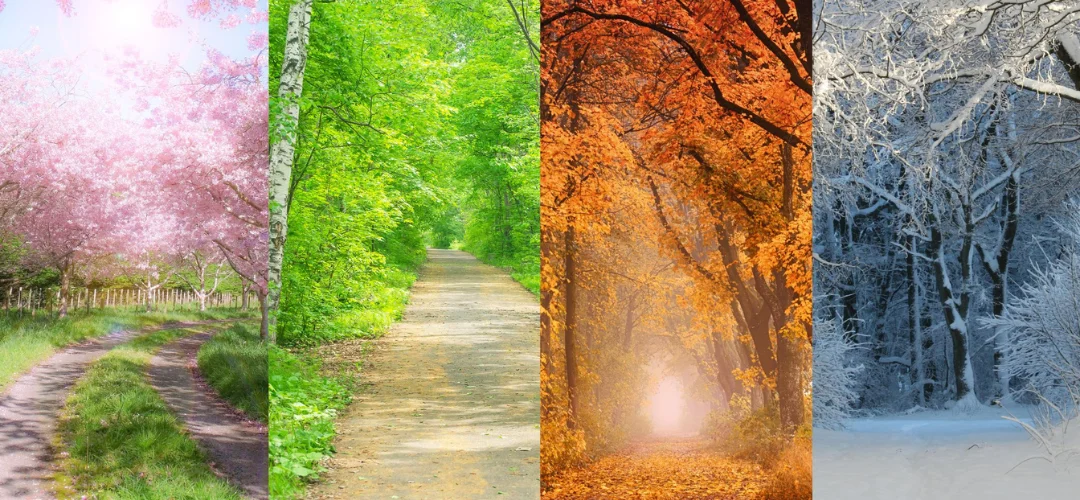 Як вивчити 12 українських місяців