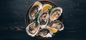 как есть устрицы