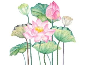 как нарисовать цветы