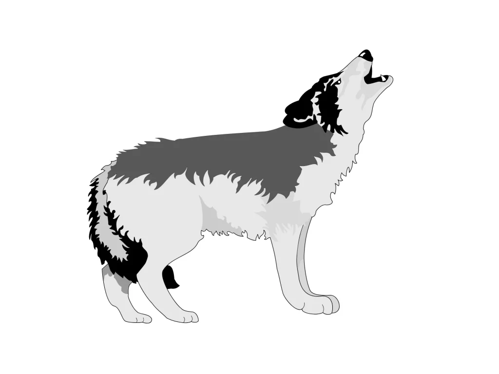 як малюється вовк