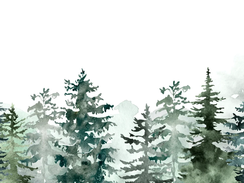 як малюється ялинка