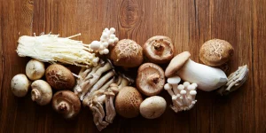 що приготувати з грибів