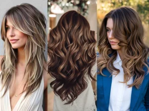 види мелірування