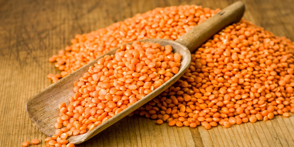 як готувати сочевицю