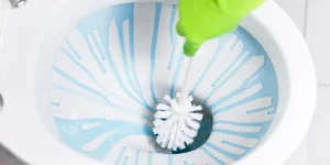 як відмити унітаз всередині