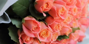 замовити квіти