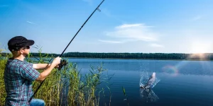 що можна приготувати з ікри річкової риби