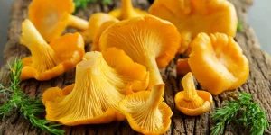 як чистити лисички