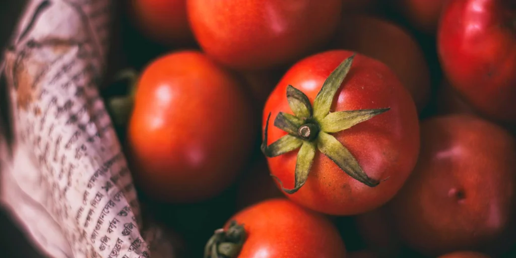 чим підживити помідори