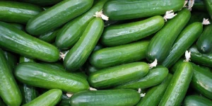 як зберегти огірки свіжими