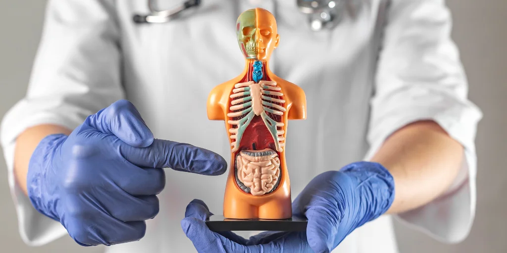 як готуватися до колоноскопії