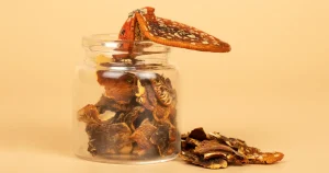 микродозинг